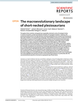 The Macroevolutionary Landscape of Short-Necked Plesiosaurians Collapsed to a Unimodal Distribution