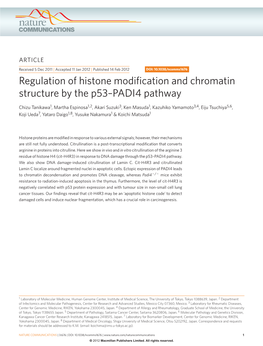 Regulation of Histone Modification and Chromatin Structure by the P53–PADI4 Pathway