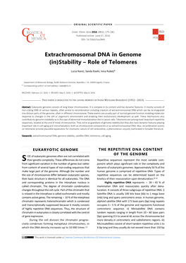 Extrachromosomal DNA in Genome (In)Stability – Role of Telomeres