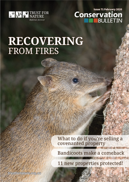 Recovering from Fires