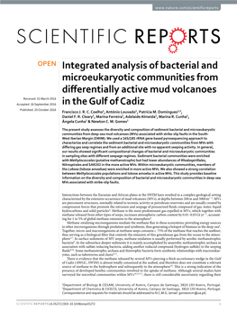 Integrated Analysis of Bacterial and Microeukaryotic Communities From