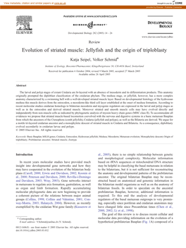 Evolution of Striated Muscle: Jellyfish and the Origin of Triploblasty