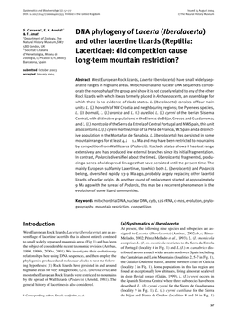 DNA Phylogeny of Lacerta (Iberolacerta) and Other Lacertine