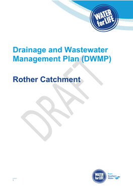 Drainage and Wastewater Management Plan (DWMP) Rother