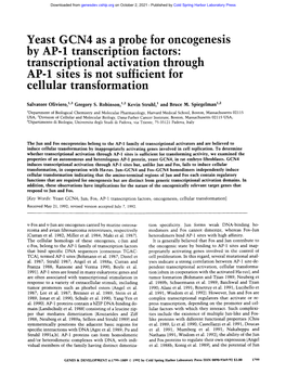 Yeast GCN4 As a Probe for Oncogenesis by AP-1. Transcription Factors: Transcnpuonal Activation Through AP-1 Sites Is Not Sufficient for Cellular Transformation