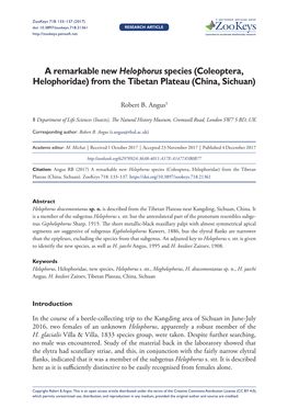 ﻿A Remarkable New Helophorus Species (Coleoptera, Helophoridae