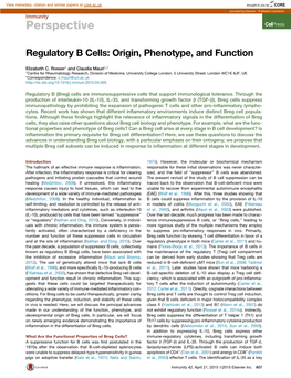 Regulatory B Cells: Origin, Phenotype, and Function