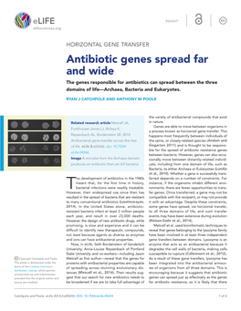 Antibiotic Genes Spread Far and Wide the Genes Responsible for Antibiotics Can Spread Between the Three Domains of Life—Archaea, Bacteria and Eukaryotes