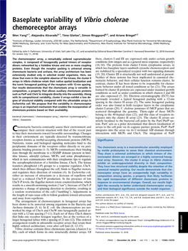 Baseplate Variability of Vibrio Cholerae Chemoreceptor Arrays