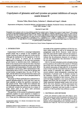 Copolymers of Glutamic Acid and Tyrosine Are Potent Inhibitors of Oocyte Casein Kinase II