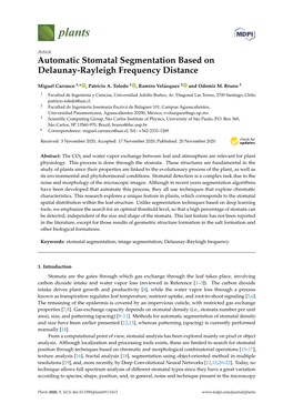 Automatic Stomatal Segmentation Based on Delaunay-Rayleigh Frequency Distance