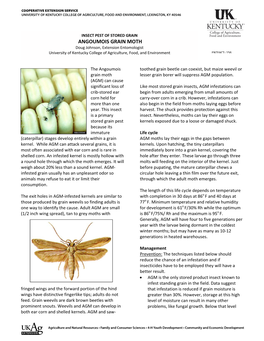 ANGOUMOIS GRAIN MOTH Doug Johnson, Extension Entomologist ENTFACT‐ 156 University of Kentucky College of Agriculture, Food, and Environment