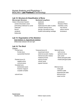 Human Anatomy and Physiology- I BIOL2401- Lab Practical 2 Terminology