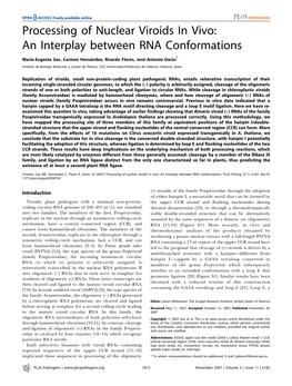 An Interplay Between RNA Conformations