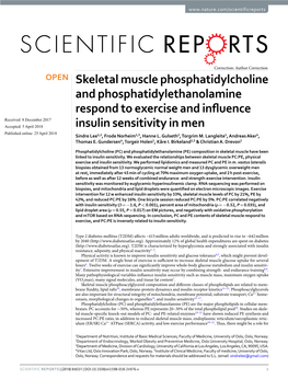 Skeletal Muscle Phosphatidylcholine and Phosphatidylethanolamine