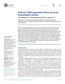 Anterior CNS Expansion Driven by Brain Transcription Factors Jesu´S Rodriguez Curt1†, Behzad Yaghmaeian Salmani1‡, Stefan Thor1,2§*