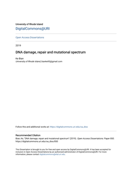 DNA Damage, Repair and Mutational Spectrum