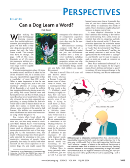 Can a Dog Learn a Word? Better Ability to Understand the Minds of Adults