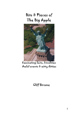 Bits & Pieces of the Big Apple