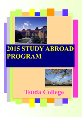 Study Abroad Program