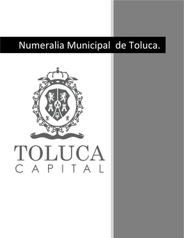 Numeralia Municipal De Toluca