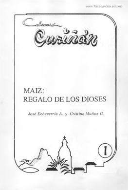 Maiz: Regalo De Los Dioses