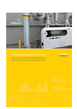 The New Zealand Gas Story