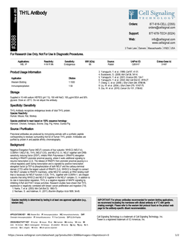 TH1L Antibody A