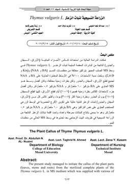 Thymus Vulgaris L