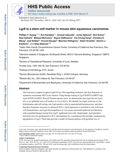 Lgr6 Is a Stem Cell Marker in Mouse Skin Squamous Carcinomas