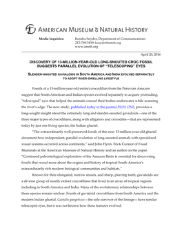 Discovery of 13-Million-Year-Old Long-Snouted Croc Fossil Suggests Parallel Evolution of “Telescoping” Eyes