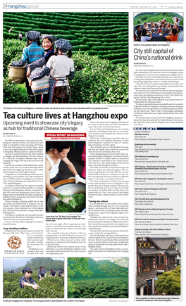Tea Culture Lives at Hangzhou Expo