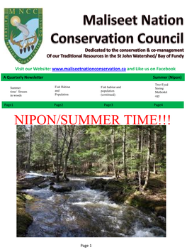 MNCC Newsletter Summer