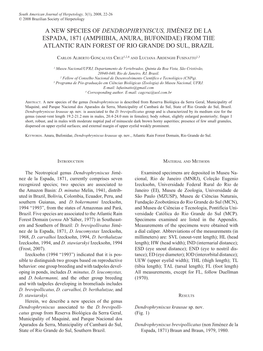 A New Species of Dendrophryniscus, Jiménez De La Espada, 1871 (Amphibia, Anura, Bufonidae) from the Atlantic Rain Forest of Rio Grande Do Sul, Brazil