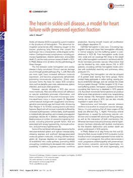 The Heart in Sickle Cell Disease, a Model for Heart Failure with Preserved Ejection Fraction