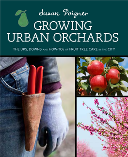 Growing Urban Orchards