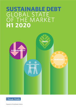 Sustainable Debt Global State of the Market H1 2020