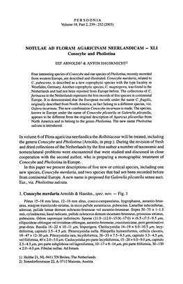 Conocybe — Fig. 1