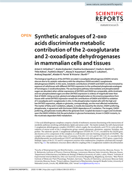 Synthetic Analogues of 2-Oxo Acids Discriminate Metabolic Contribution of the 2-Oxoglutarate and 2-Oxoadipate Dehydrogenases in Mammalian Cells and Tissues Artem V