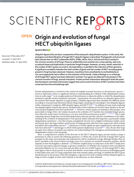 Origin and Evolution of Fungal HECT Ubiquitin Ligases Ignacio Marín