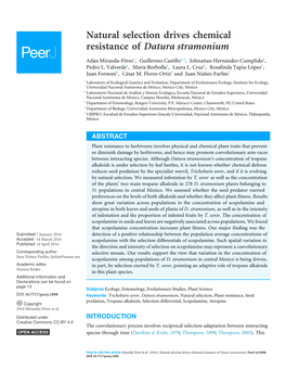 Natural Selection Drives Chemical Resistance of Datura Stramonium