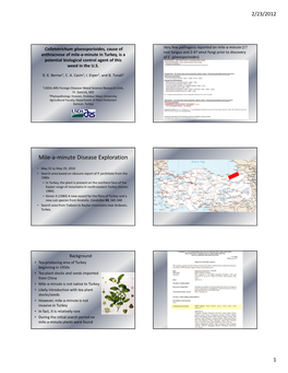 Mile-A-Minute Disease Exploration