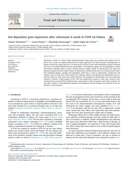 Sex-Dependent Gene Expression After Ochratoxin a Insult in F344 Rat