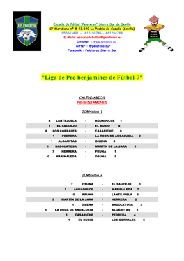 "Liga De Pre-Benjamines De Fútbol-7"