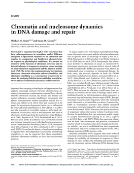 Chromatin and Nucleosome Dynamics in DNA Damage and Repair