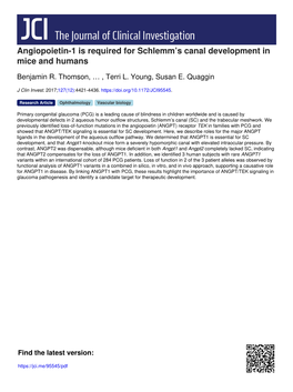 Angiopoietin-1 Is Required for Schlemm's Canal Development in Mice and Humans