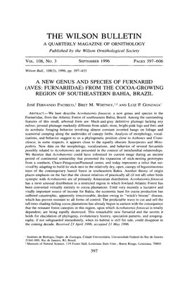 A New Genus and Species of Furnariid (Aves: Furnariidae) from the Cocoa-Growing Region of Southeastern Bahia, Brazil