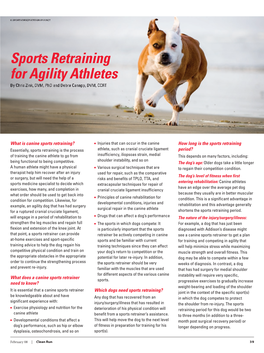 Sports Retraining for Agility Athletes by Chris Zink, DVM, Phd and Debra Canapp, DVM, CCRT