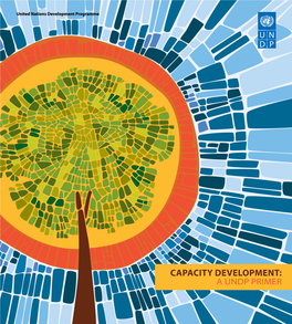 Capacity Development: a Undp Primer I