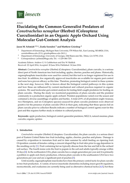 Coleoptera: Curculionidae) in an Organic Apple Orchard Using Molecular Gut-Content Analysis